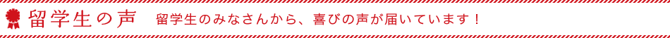 留学生の皆さんから喜びの声が届いております。