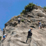 elfes_20190304