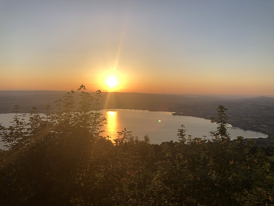 モンタナ校から見えるツーク湖と夕日