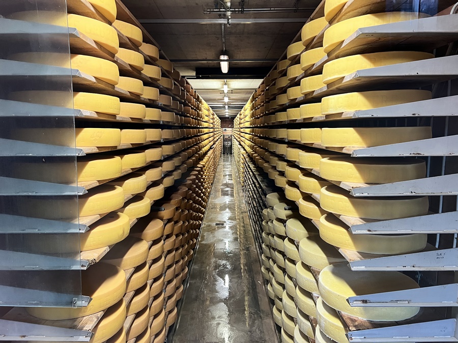 グリュイエールのチーズ工場のチーズ保管庫