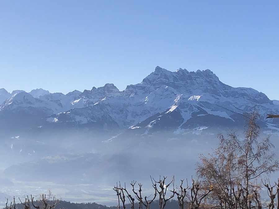 レザン・アメリカン・スクール校から見えるスイスアルプスの絶景