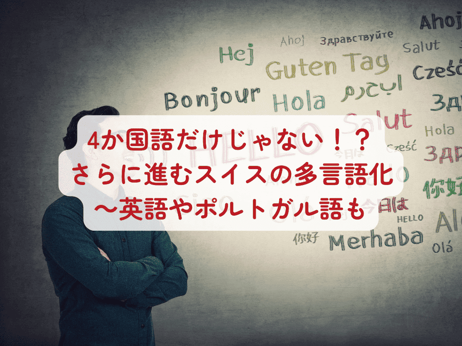 スイスドイツ語/ イラスト付き語学本　（単語メイン） スイスドイツ語/ イラスト付き語学本 （単語メイン） - メルカリ