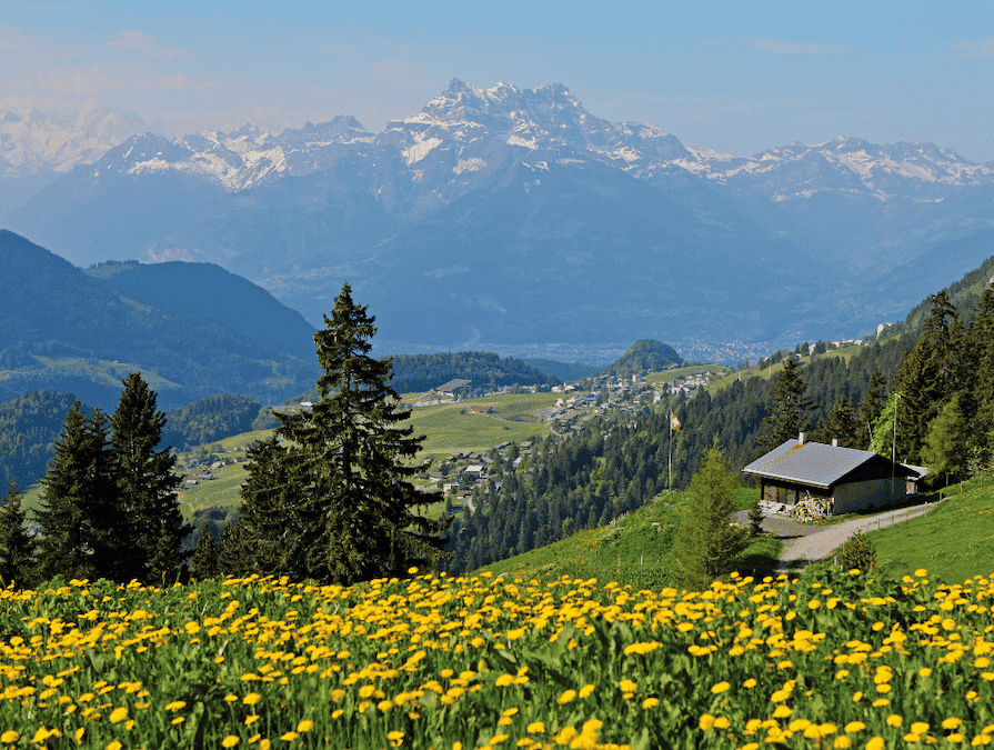 20260723_extreme_heat_switzerland_las_summer スイスワインの名産地であるエーグルから葡萄畑が広がる絶景を抜け、登山電車の終着駅を降りるとレザン・アメリカン・スクール (LAS)のベルエポックキャンパスがあります